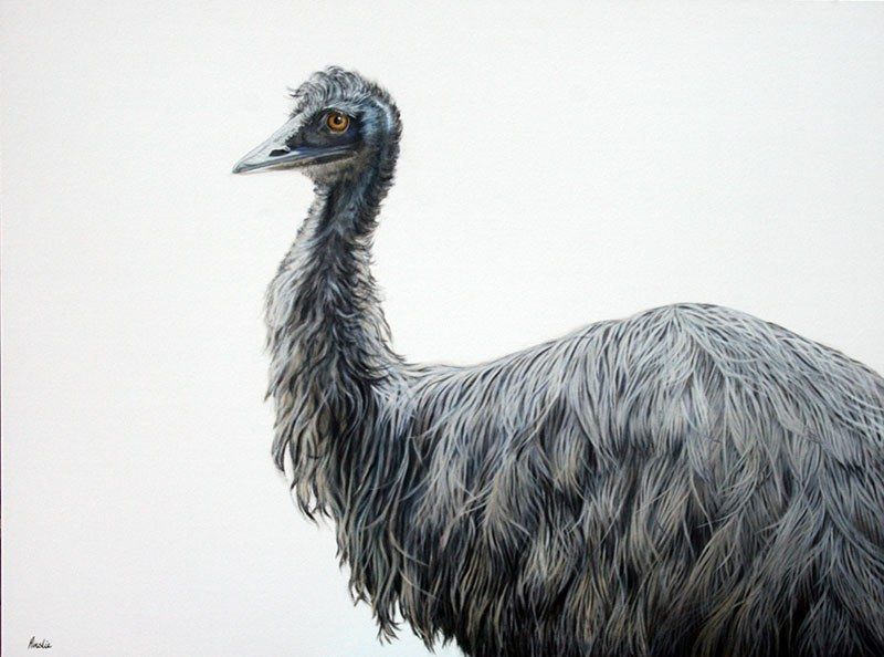 Imperious, acrylic on canvas, by James Ainslie