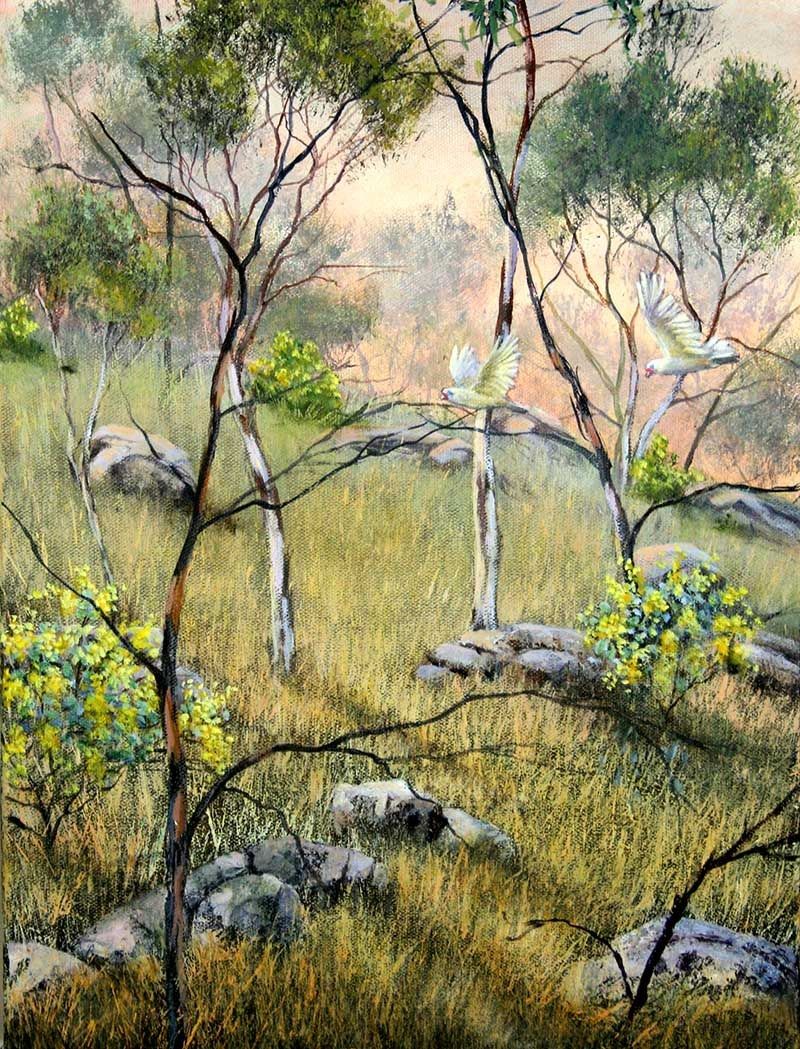 Study for Wattle Dawn, acrylic on canvas, by James Ainslie