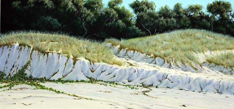 Sunshine Shadows, acrylic on Arches paper, by James Ainslie