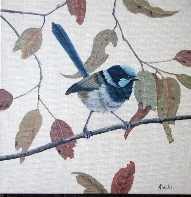 Blue Wren, acrylic on canvas, by James Ainslie