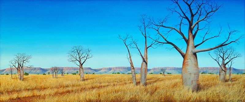 Wyndham Boab Landscape, acrylic on canvas, by James Ainslie