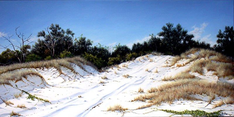 Over the Dunes, acrylic on linen, by James Ainslie