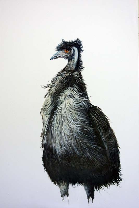 Banka Banka Emu, acrylic on canvas, by James Ainslie