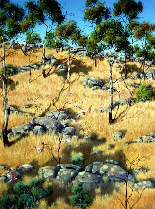 Hillside Shadows 2, acrylic on canvas, by James Ainslie