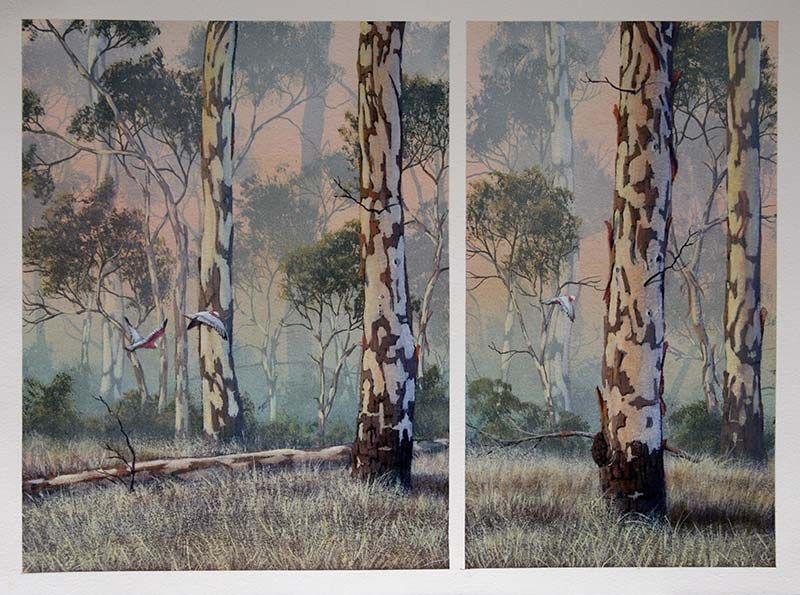 Tjukalu Morning Mists - Fallen, acrylic on Arches paper, by James Ainslie
