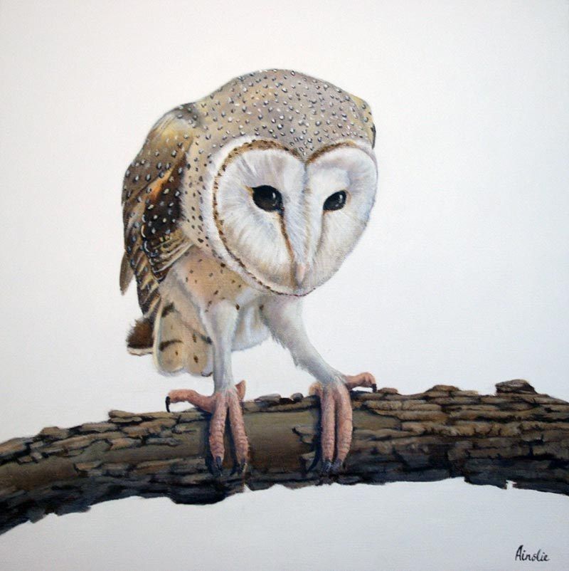 Barny 1, acrylic on canvas, by James Ainslie